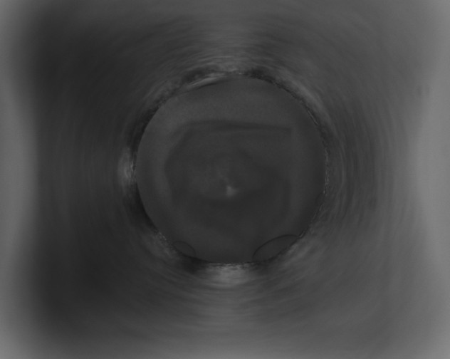 X0000100920384200807151227