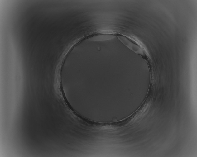 X0000100920385200807151227