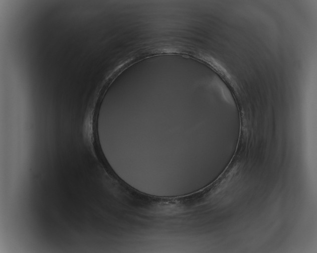 X0000100920386200807151227