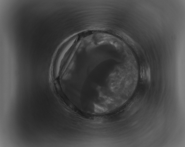 X0000100920388200807151227