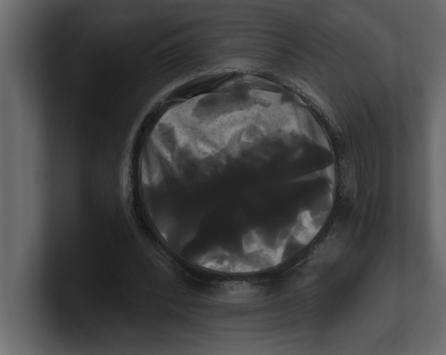 X0000100920392200807151227