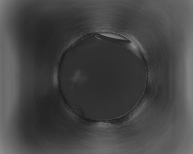 X0000100920393200807151226