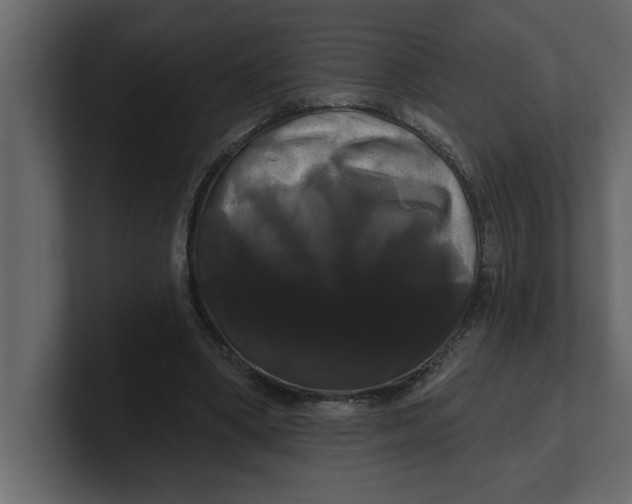 X0000100920394200807151226