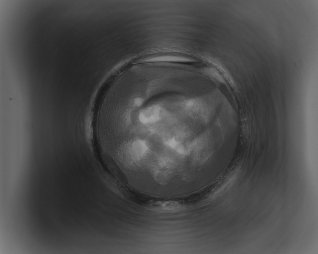 X0000100920395200807151226