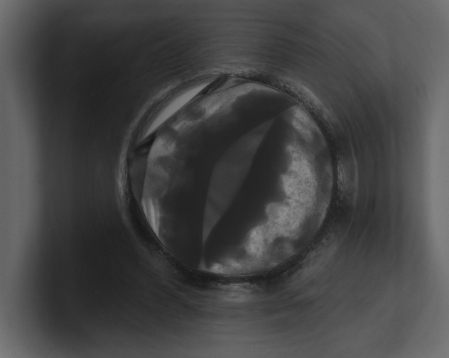 X0000100920396200807151226