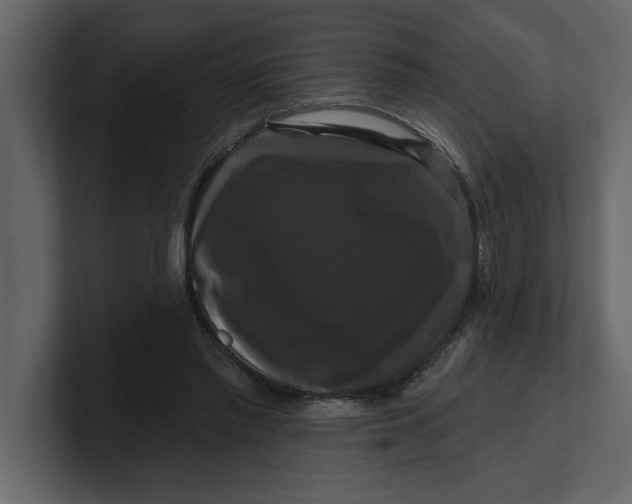 X0000100920397200807151226