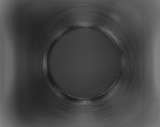 X0000100920398200807151226