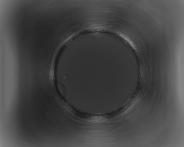 X0000100920399200807151226