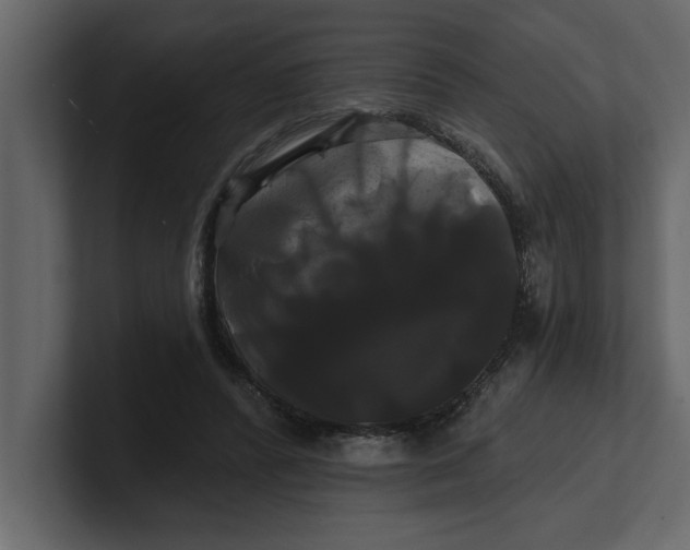 X0000100920400200807151226