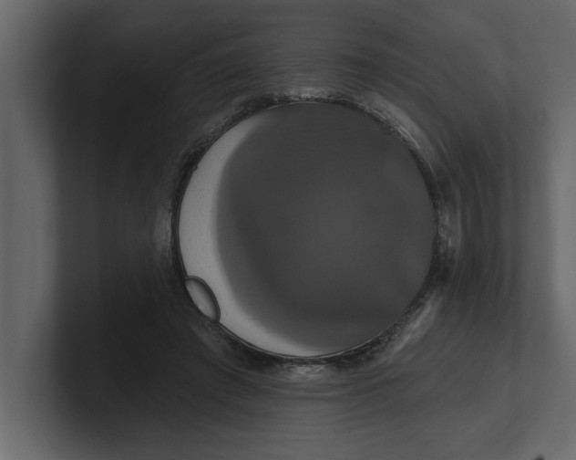 X0000100920401200807151226