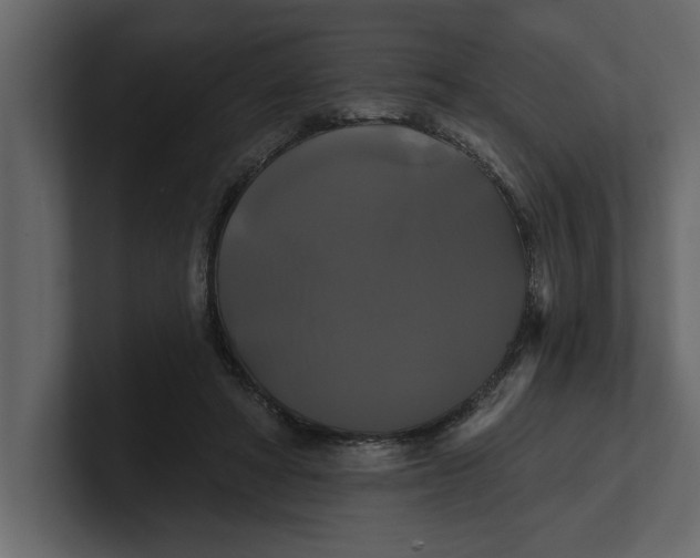 X0000100920402200807151226
