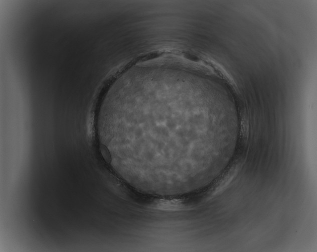 X0000100920403200807151226