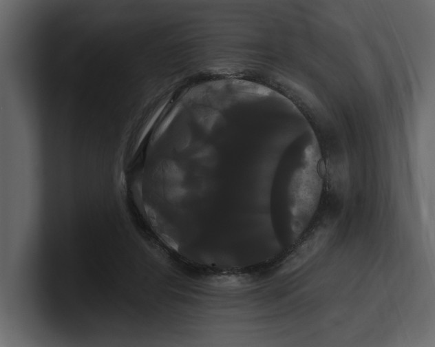 X0000100920404200807151226