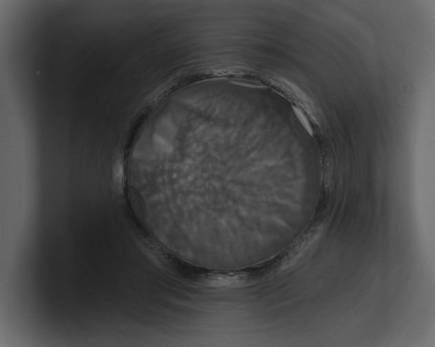 X0000100920405200807151226