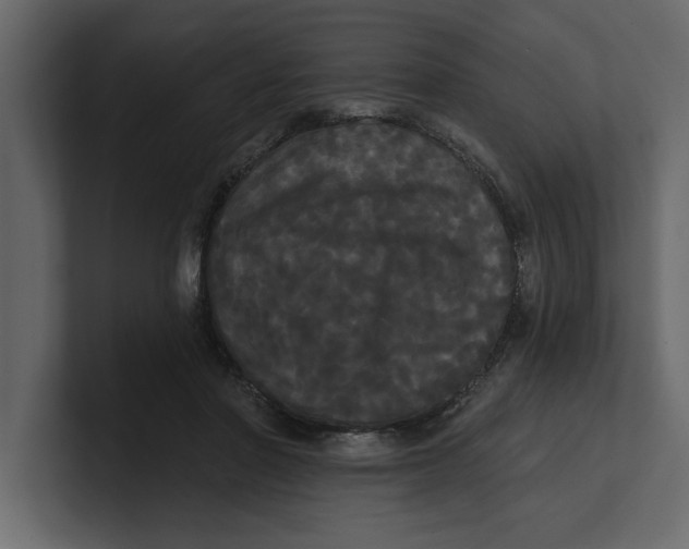 X0000100920406200807151226