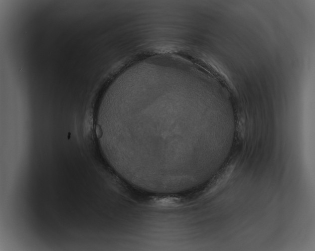 X0000100920407200807151226