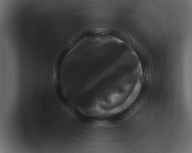 X0000100920408200807151226