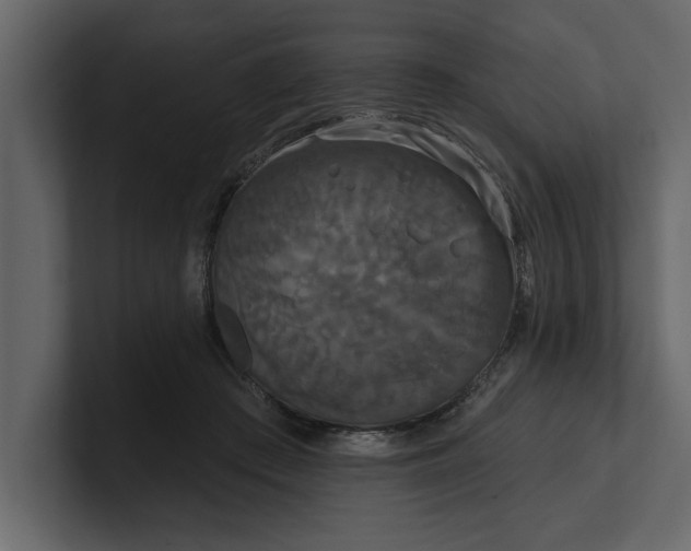 X0000100920409200807151226