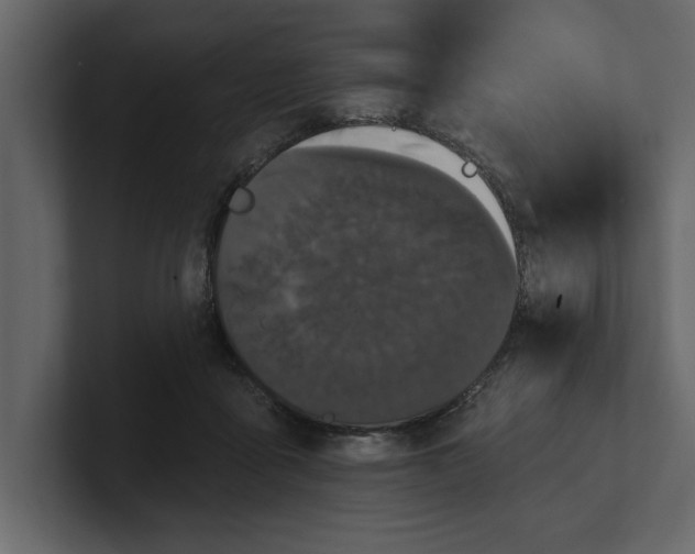 X0000100920411200807151226