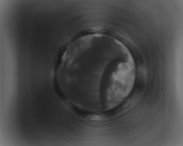 X0000100920412200807151226