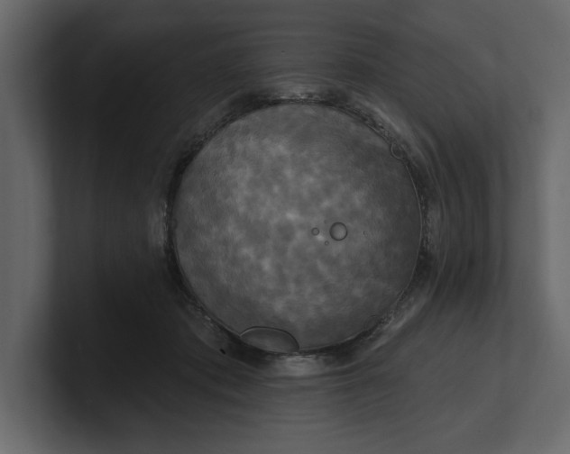 X0000100920413200807151226