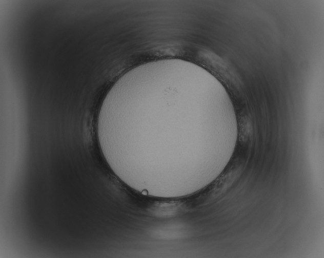 X0000100920414200807151226