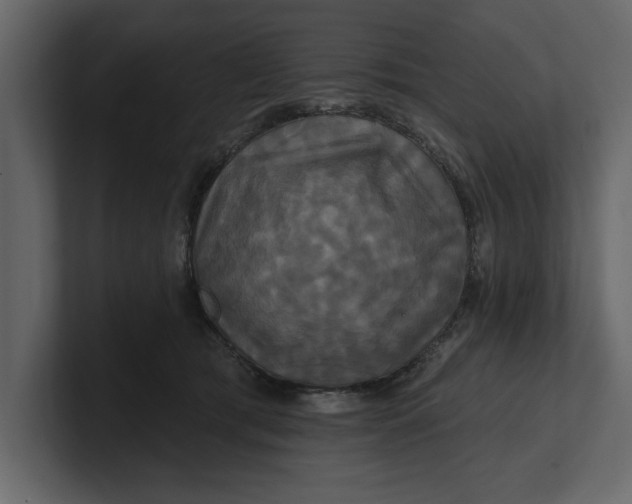 X0000100920417200807151226