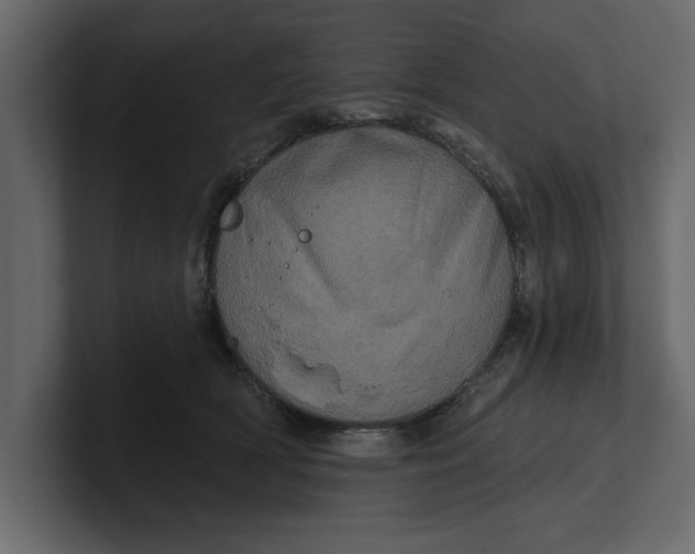 X0000100920418200807151226