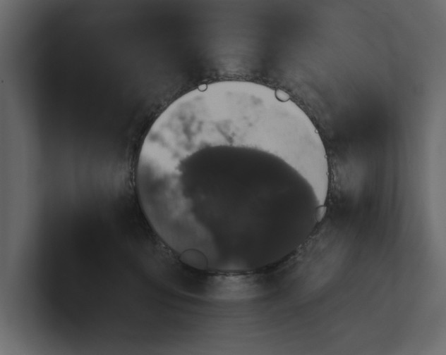 X0000100920419200807151226