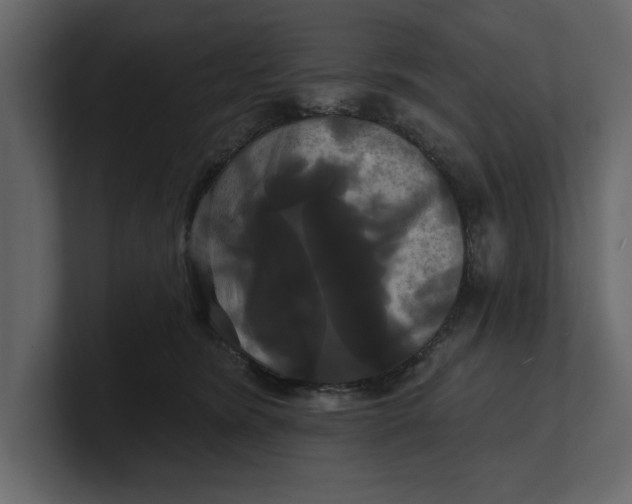 X0000100920420200807151226