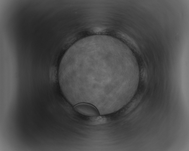 X0000100920421200807151226
