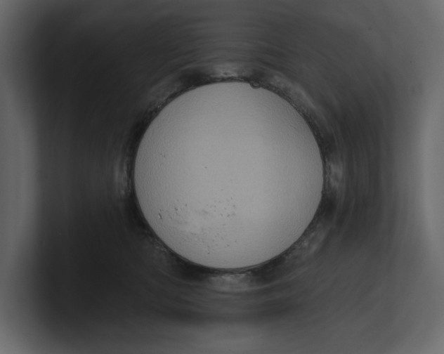 X0000100920422200807151226