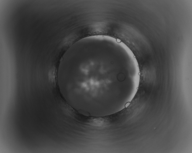X0000100920423200807151226
