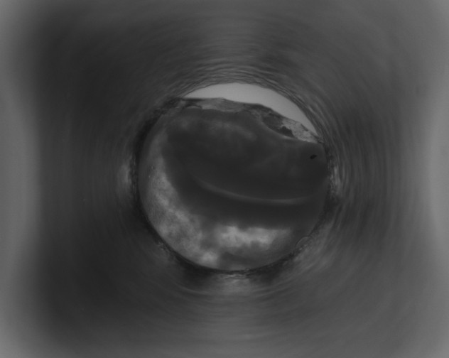 X0000100920424200807151226