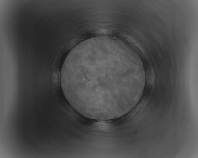 X0000100920425200807151226