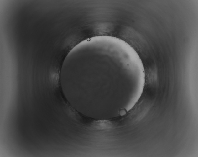 X0000100920427200807151226