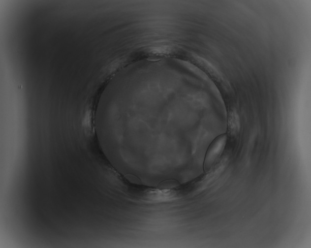 X0000100920428200807151226