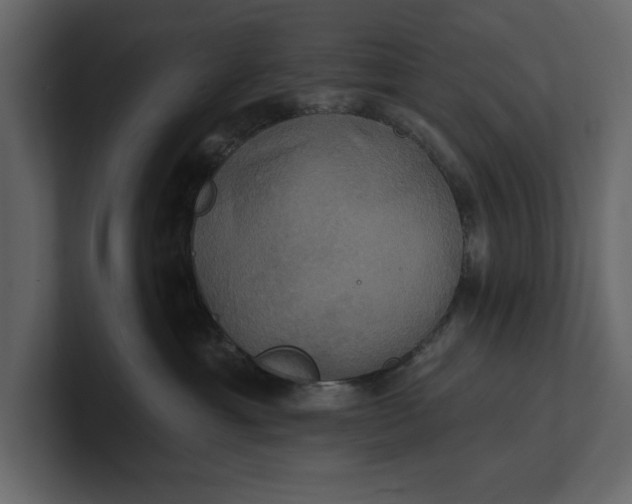 X0000100920429200807151226