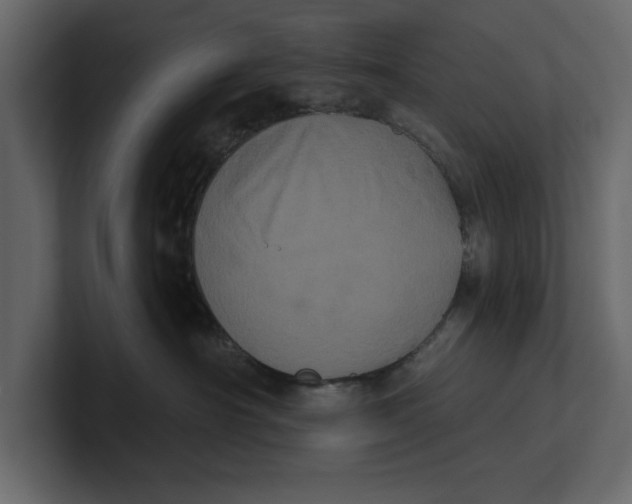 X0000100920430200807151226
