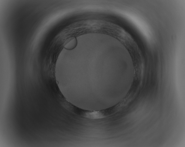 X0000100920431200807151226