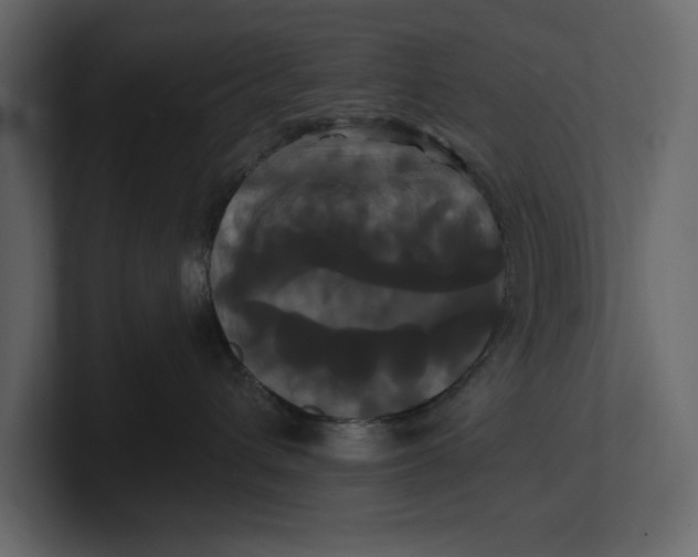 X0000100920432200807151226