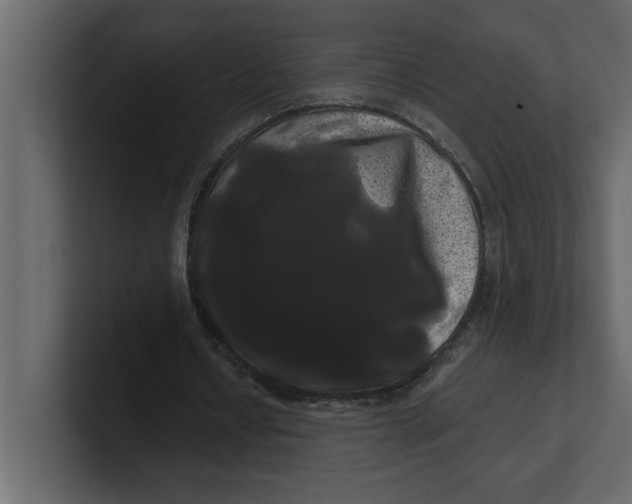X0000100920434200807151225