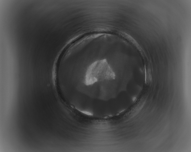 X0000100920435200807151225