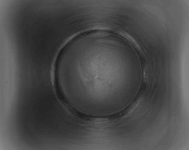 X0000100920436200807151225