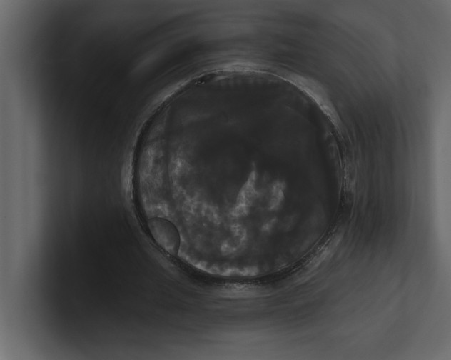 X0000100920437200807151225