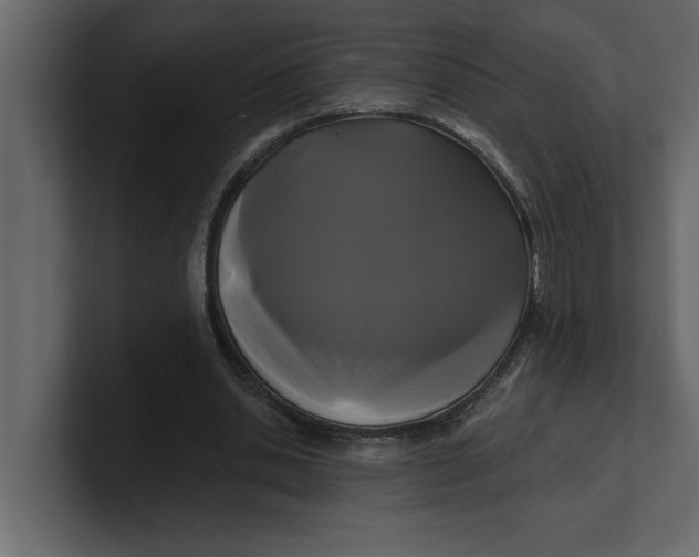 X0000100920438200807151225