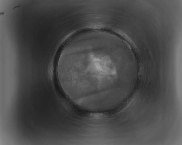 X0000100920440200807151225