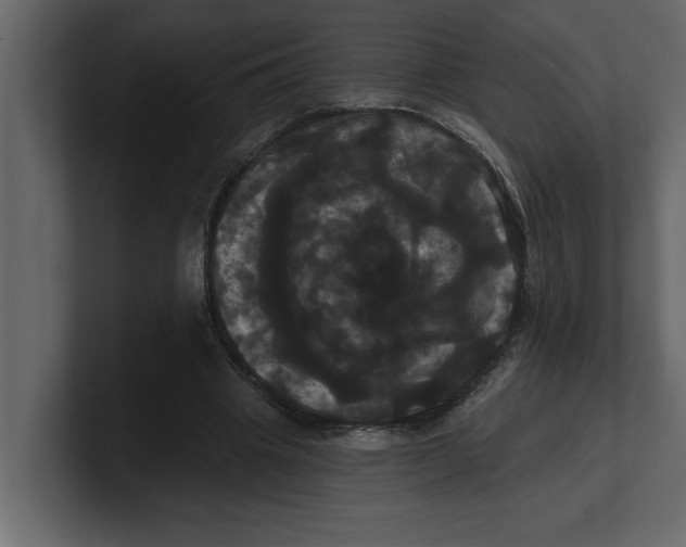 X0000100920441200807151225