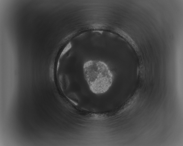 X0000100920442200807151225