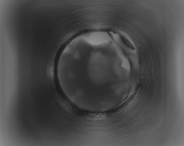 X0000100920443200807151225